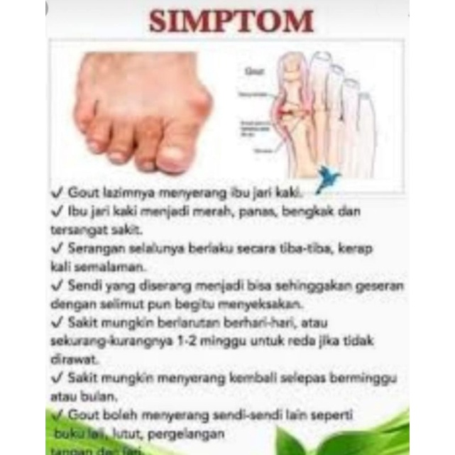 Buy Jus Gout Amirna Baik Untuk Pesakit Gout Dan Sendi Tulang Membantu Membuang Asid Urik Dalam Badan 275 Ml Label Kuning Seetracker Malaysia