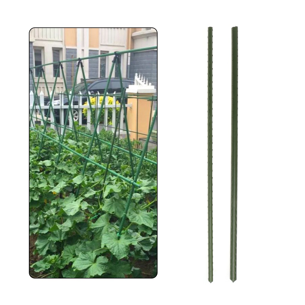 Pack of 40 Bamboo Canes  Garden Plant Support Flower Trellises Strong 90cm