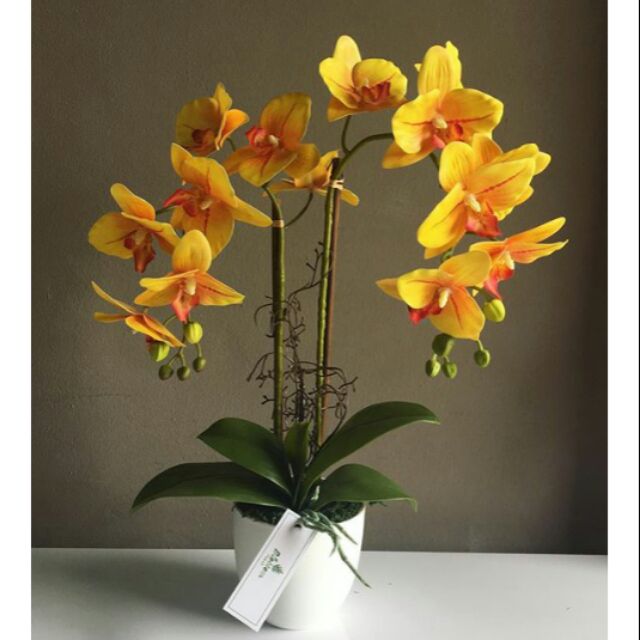 Ready Stock Gubahan Orkid Real Touch Latex Kuning 2 Tangkai