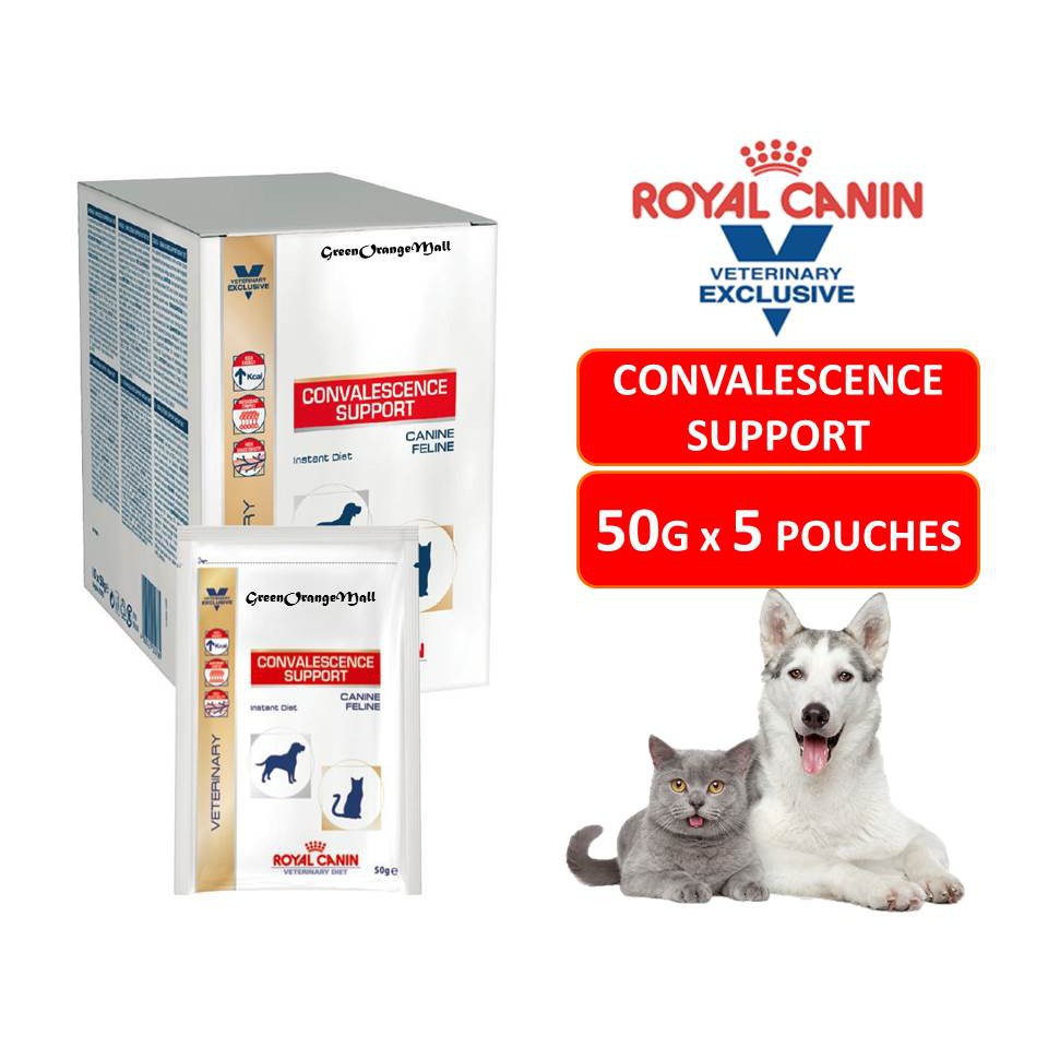 Royal Canin Convalescence Support 2024