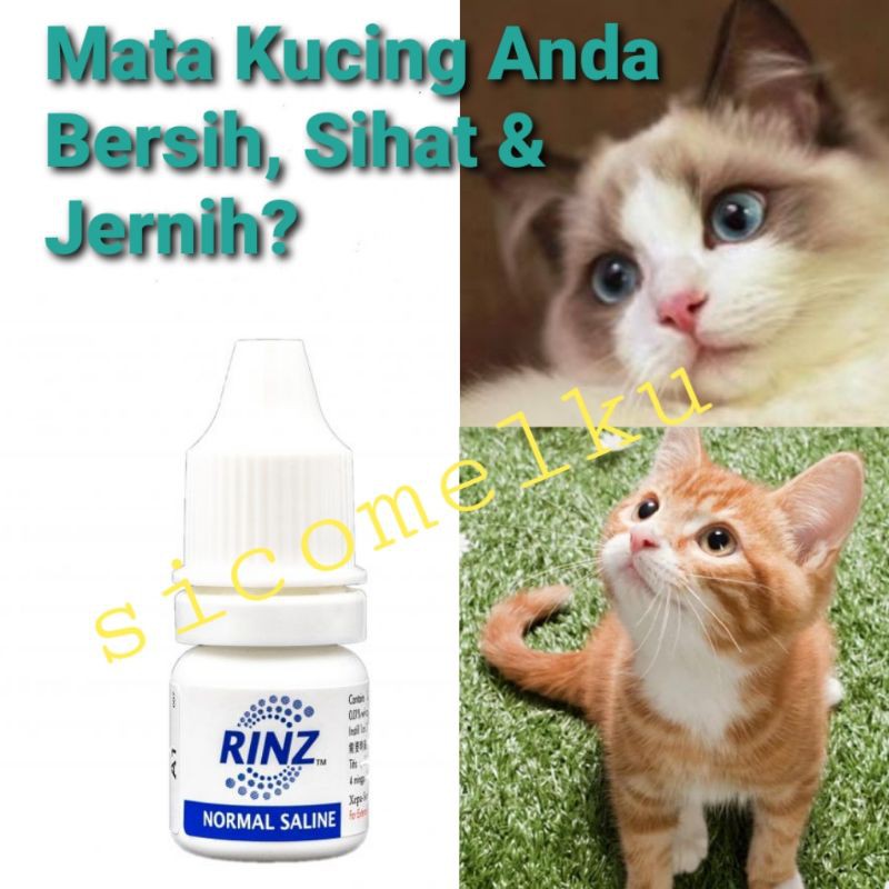 Ubat Cuci Mata / Sakit Mata Kucing Normal Saline / Selaput Mata
