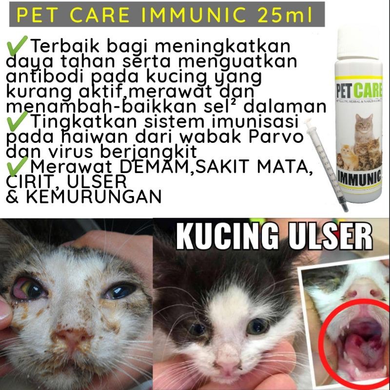 Ubat Parvo Virus Demam Selsema Batuk Cirit Ulser Sakit Mata Cat Flu Immune Booster Monyok Ubat Hati Kucing Dan Anjing Shopee Malaysia