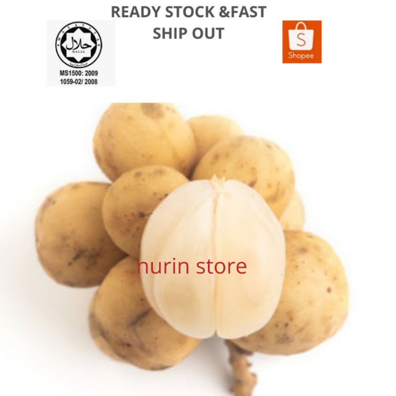 buah dokong manis 1kilo buah duku