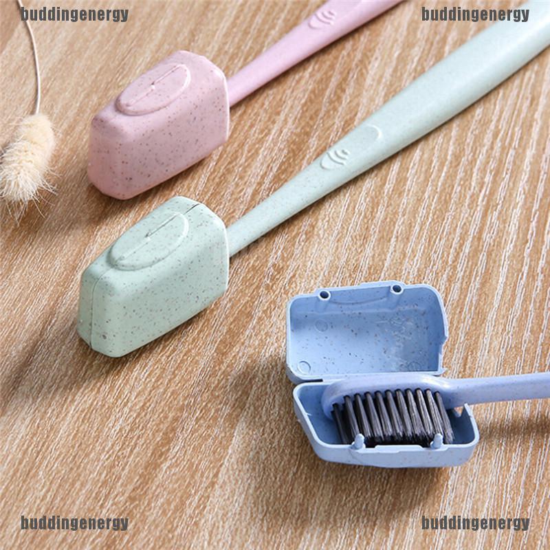 case of toothbrushes