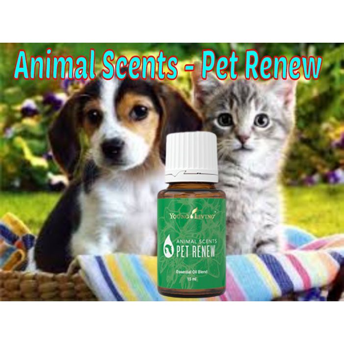 Young Living Animal Scents Pet Renew Essential Blend Oil 15ml Shopee Malaysia