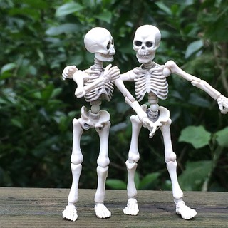 Movable Mr Bones Skeleton Human Model Skull Full Body Mini Figure Toy Halloween Shopee Malaysia - mrbones roblox