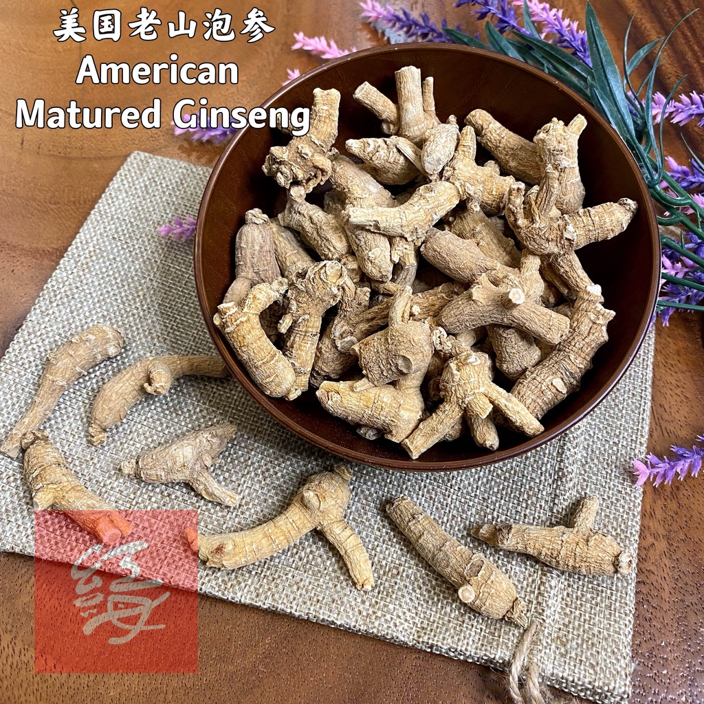 Red Sea 美国老山泡参【6年原粒】American Matured Ginseng 花旗参【3g+-/Pcs】