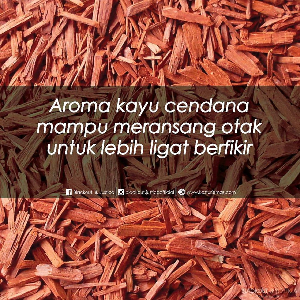 Harga Kayu  Cendana Di Malaysia  Pagar Rumah