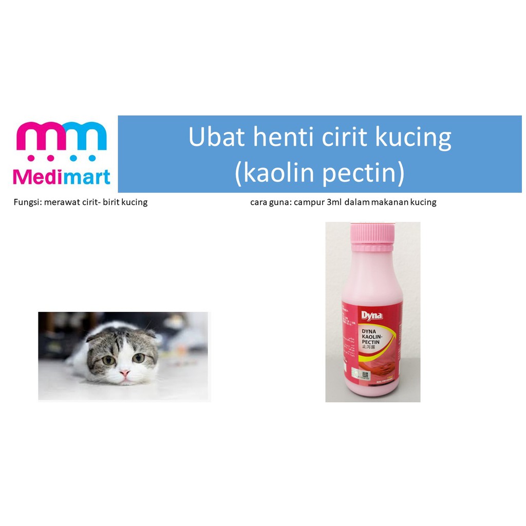 Mengenali Tanda Dan Punca Cirit Birit Kucing Alam Kucing Ubat Cirit Kucing Qialliru