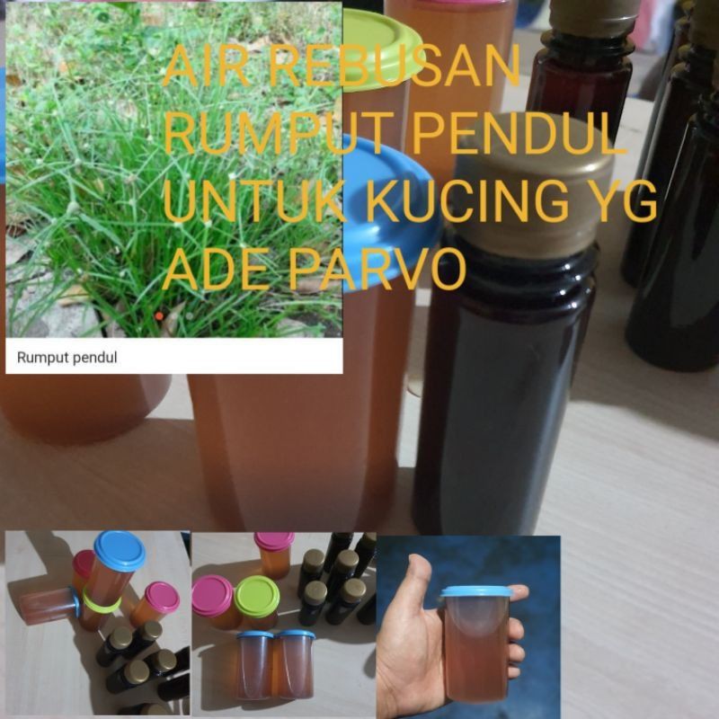 Buy Ubat Virus parvo Untuk kucing 70ml. (Air rebusan rumput 