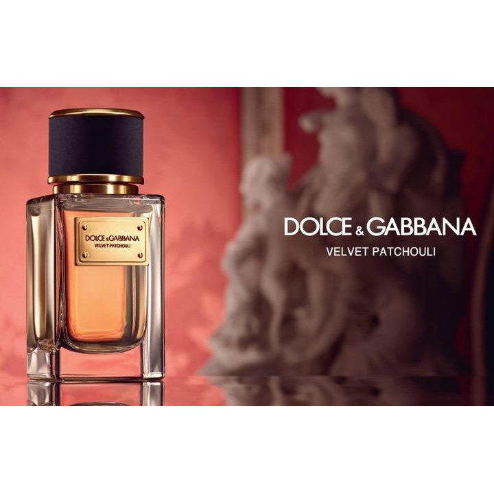 dolce and gabbana velvet patchouli