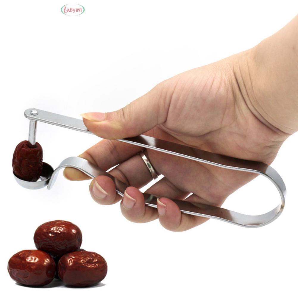 Seed Remover Canning Red Handheld Dates Cherry Seed Tool Fruit Pitte Easy Corer Remover Stainless Steel Kitchen Shopee Malaysia