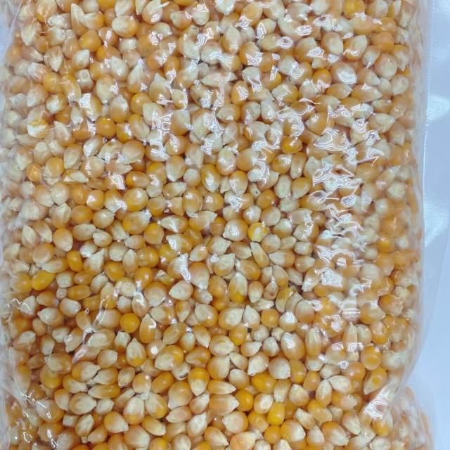 Buy Popcorn Kernel Seetracker Malaysia