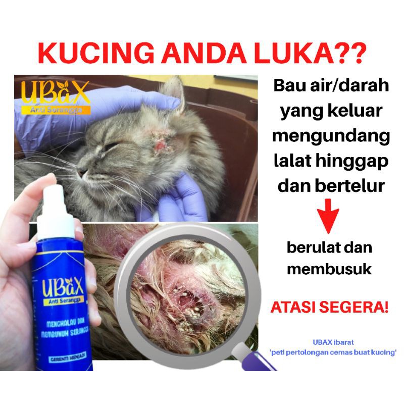 Hot Produk Ubax Luka Kucing Shopee Malaysia