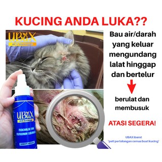 HOT PRODUK] UBAX LUKA KUCING  Shopee Malaysia