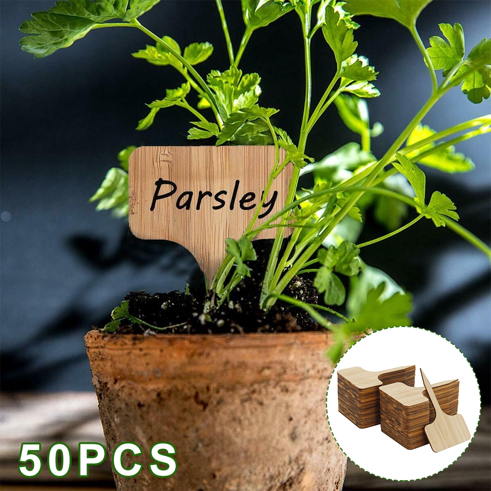 Wooden Bamboo Plant Markers for Garden Waterproof Outdoor Herb & Vegetable Garden Signs 10Pcs Custom Garden Labels for Plants 