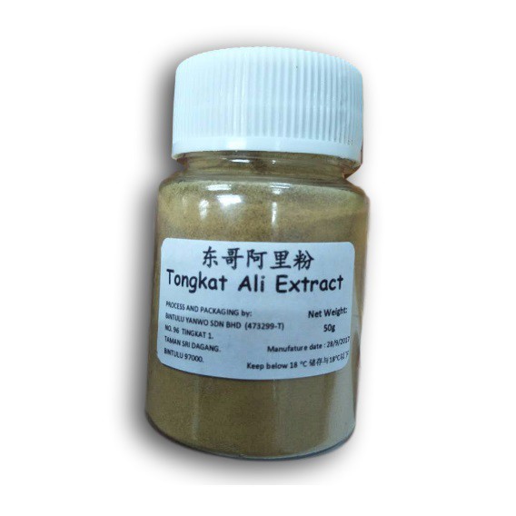 Koleksi novel dewasa online