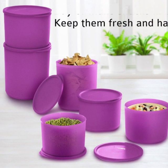 Tupperware Summer Fresh Large Set (Light Purple - 6pcs)