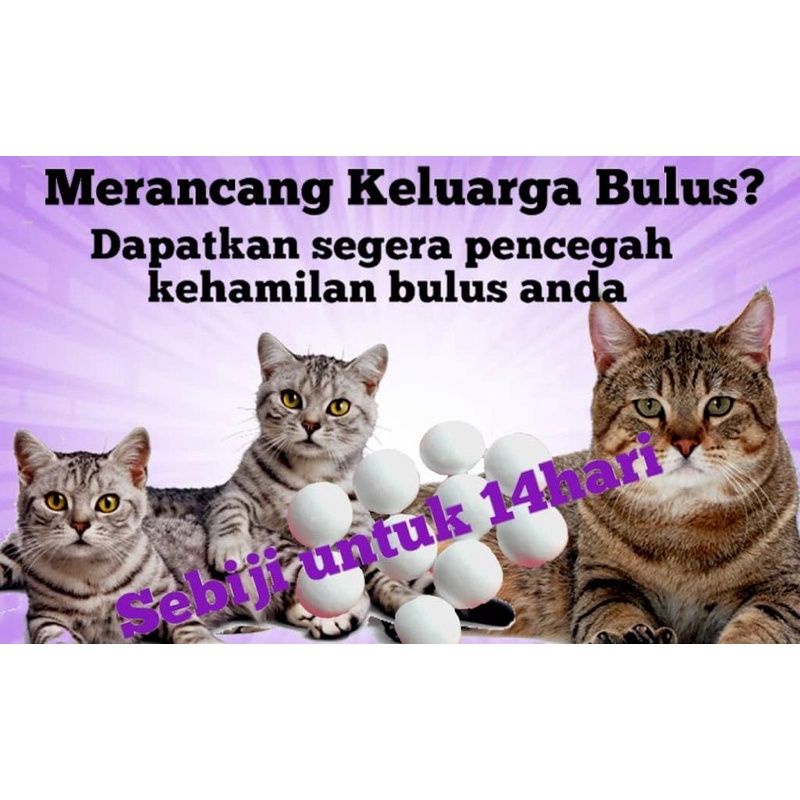 Pil pencegah @ perancang kehamilan kucing (1 Biji ) | Shopee Malaysia