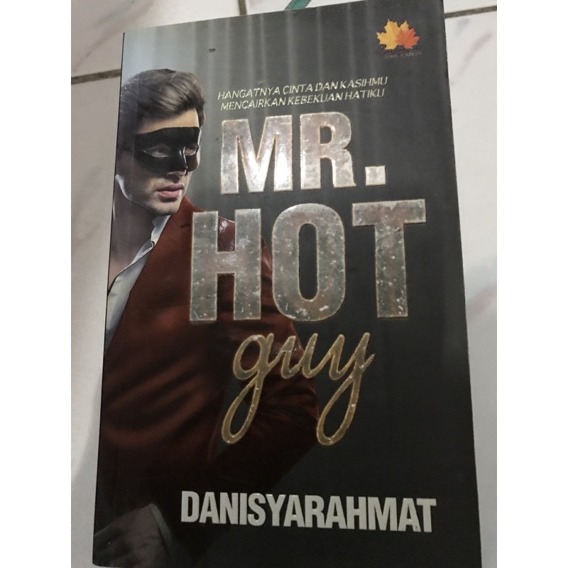 sinopsis novel mr hot guy