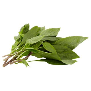 Buy Daun Selasih 100g Pkt Seetracker Malaysia