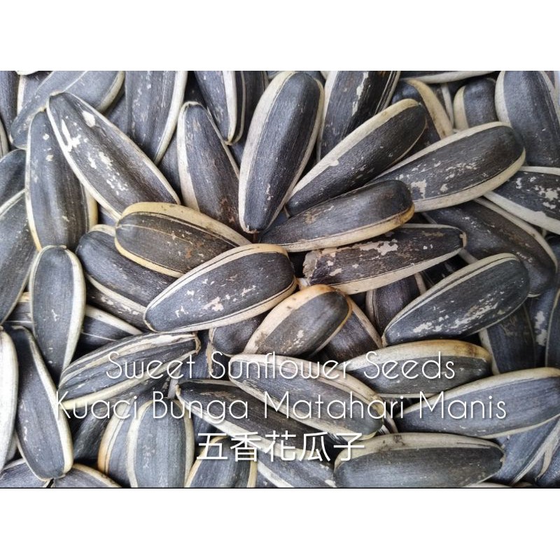 Sunflower Seeds Sweet Kuaci Bunga Perasa Wangi 五香太阳花瓜子300g Shopee Malaysia