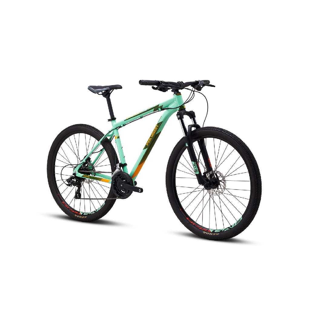 polygon hardtail 2021