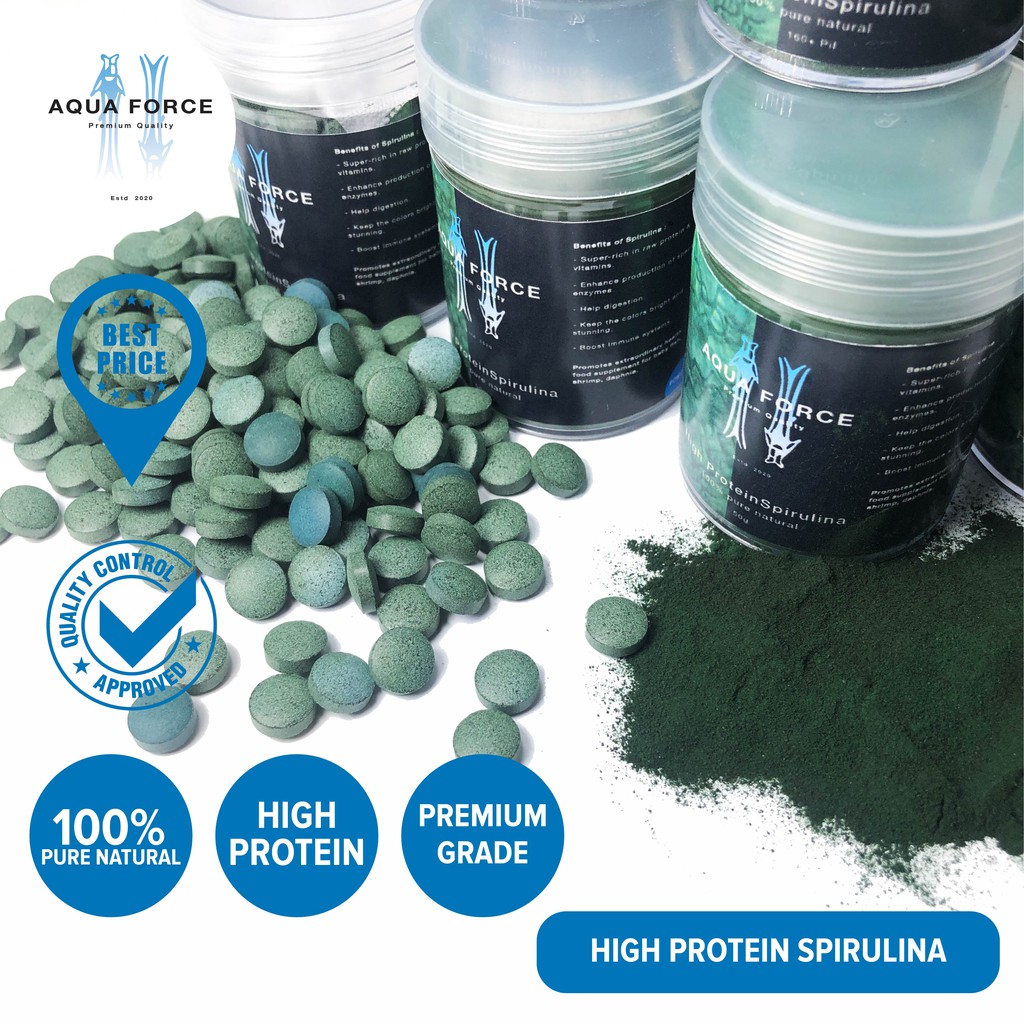 PREMIUM GRADE HIGH PROTEIN SPIRULINA PIL POWDER 100 NATURAL shrimp