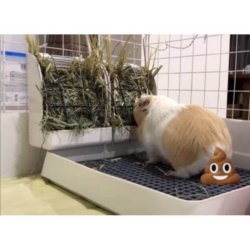⚠️Malaysia⚠️Rabbit Large toilet Guinea Pig toilet Dog toilet Rabbit