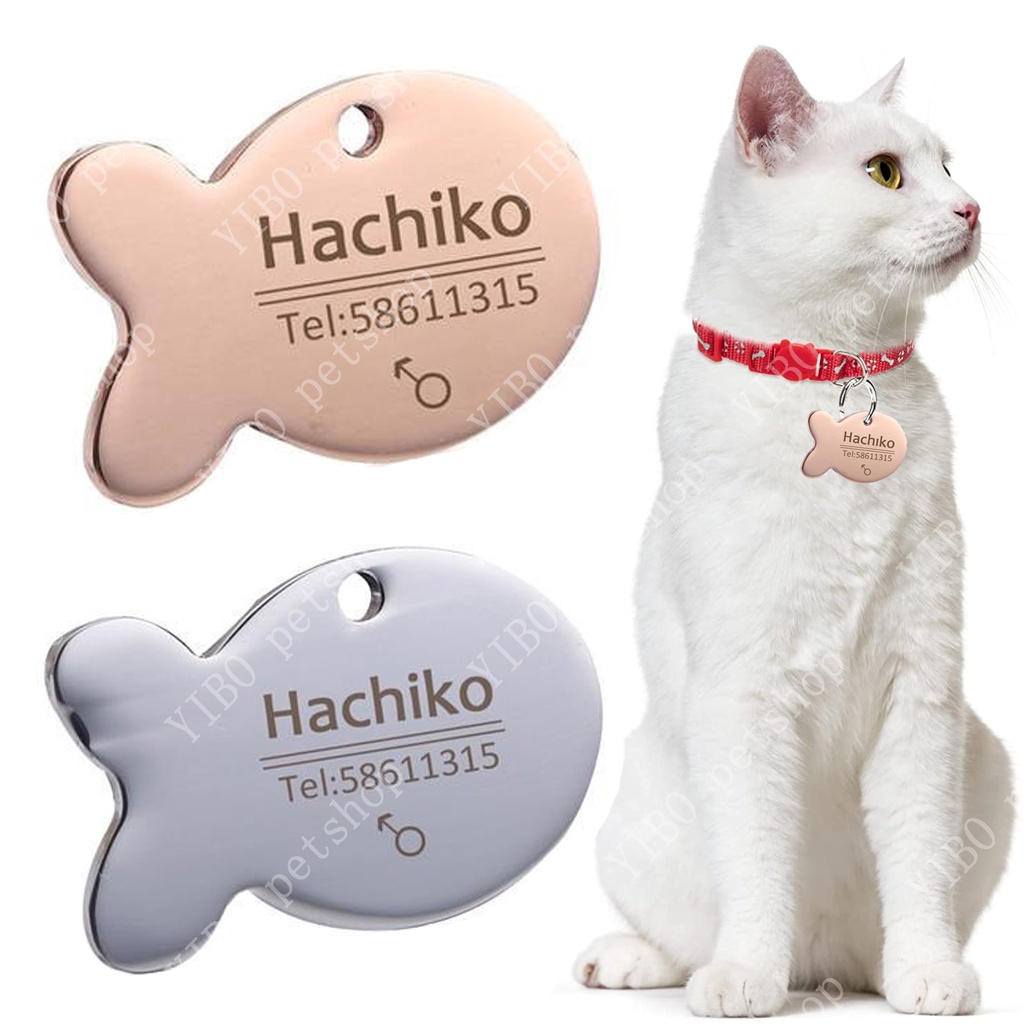 Cat Collar Name Tag ubicaciondepersonas.cdmx.gob.mx
