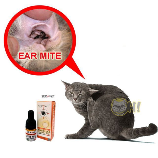 Ear mite Anti Flea - Ubat Kutu, Hama, Telur Kutu Kucing 
