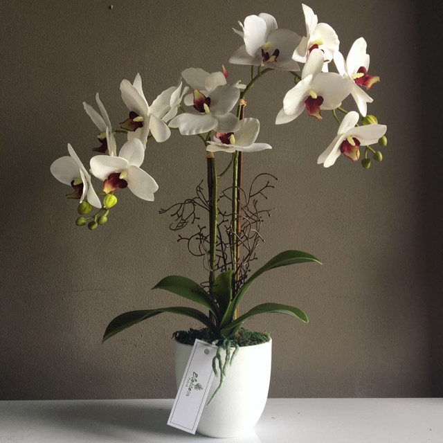 Artificial mini orchid with white pot (ready stock) Shopee Malaysia