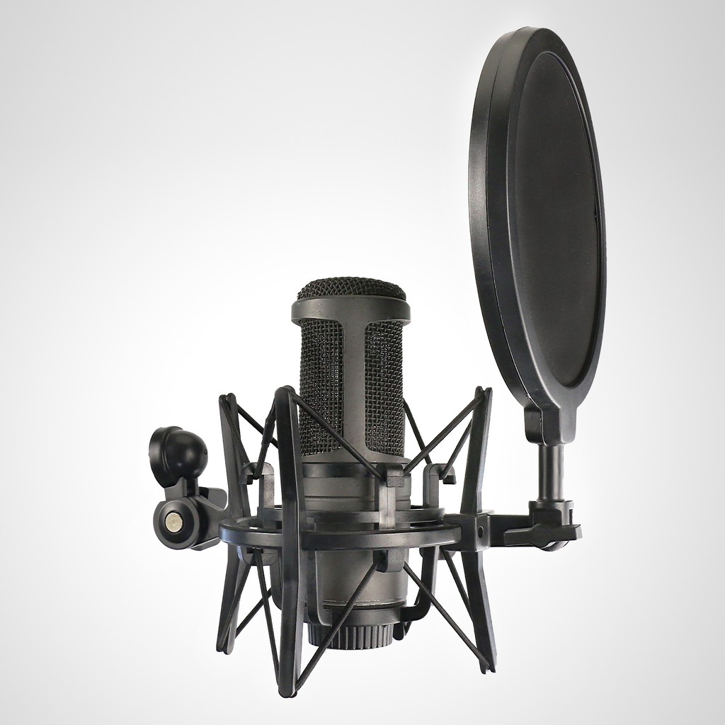 AT2020 Shock Mount with Pop Filter, Windscreen and Shockmount to Reduce ...