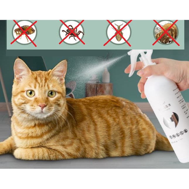 Buy UBAT SPRAY KUTU KUCING FLEA Clear Flea Tick Treatment Medicine 