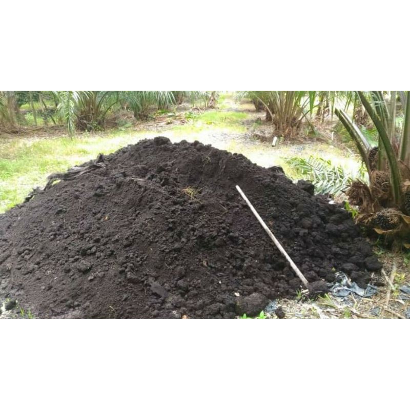 Buy Tanah Hitam Sawit Untuk Tanaman Harga Untuk 3kg Seetracker Malaysia