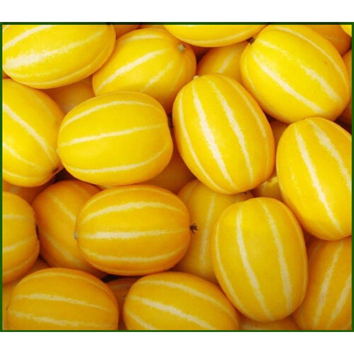 Seeds Of Korean Sweet Yellow Melon High Sugar Content Chamoe Makuwa Vegetable Seed 韩国甜瓜种子 Shopee Malaysia