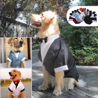 large breed dog clothes