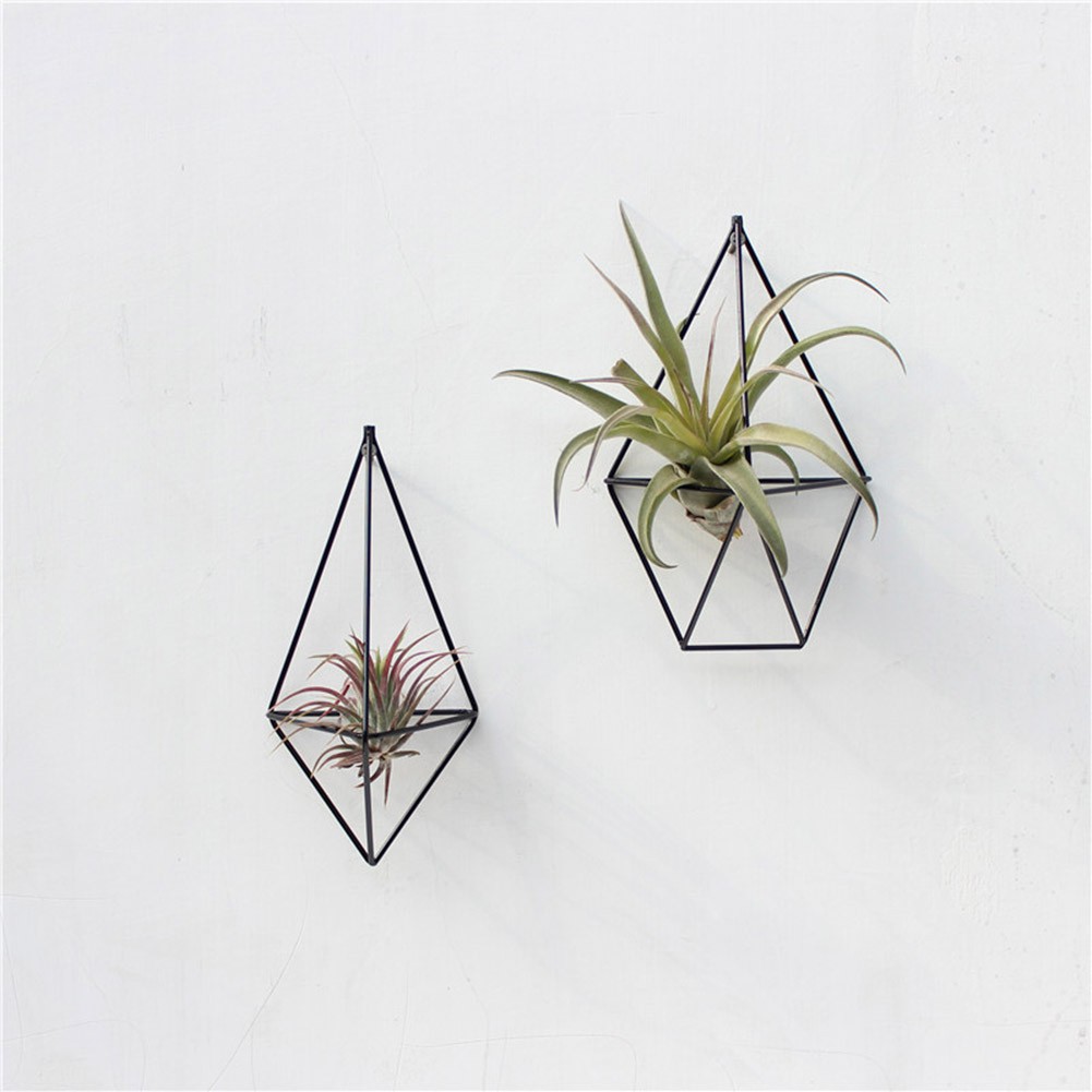 Wall Mounted Air Plants Holder Irregular Geometric Metal Hanging Rack For Branch Eave Ceiling