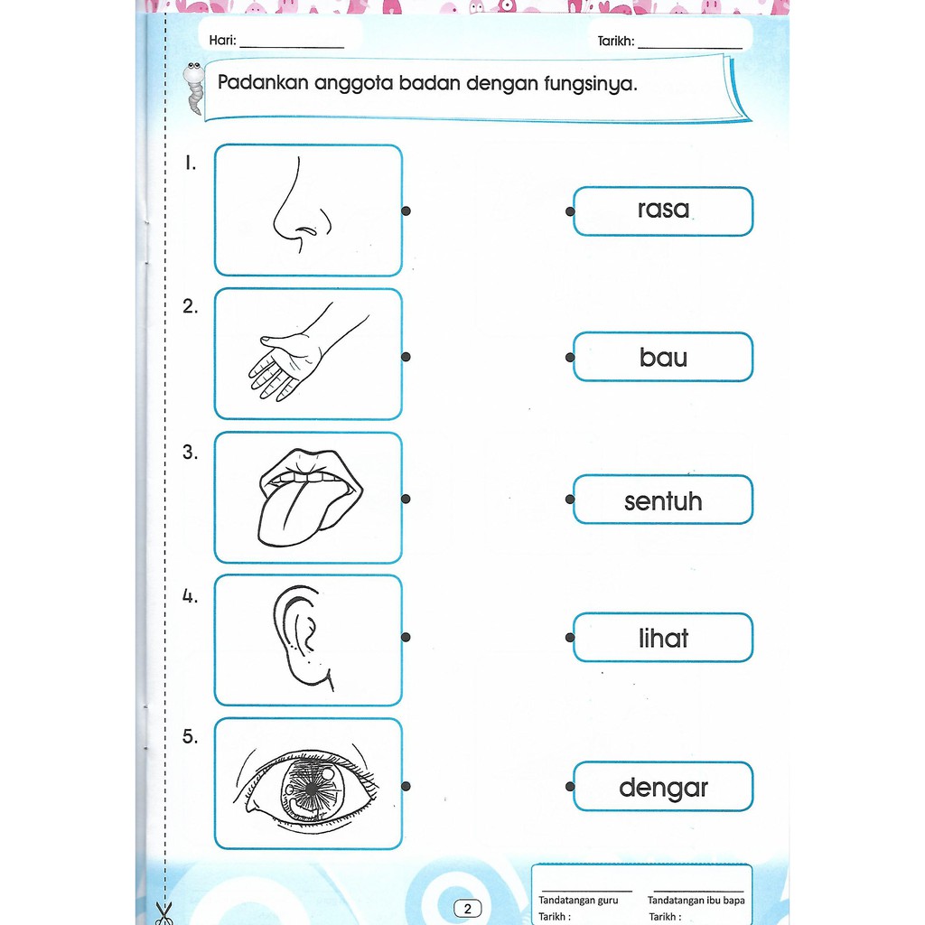 Lembaran Kerja Sains Prasekolah Anggota Badan - Prasekolah Cikgu Lia ...