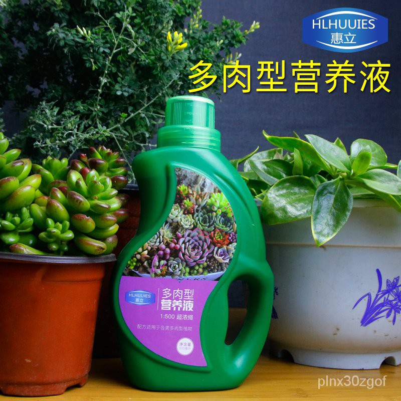 多肉植物肥料肉肉专用营养液盆栽植物花卉浓缩液体增色叶面生根肥ld4f Shopee Malaysia