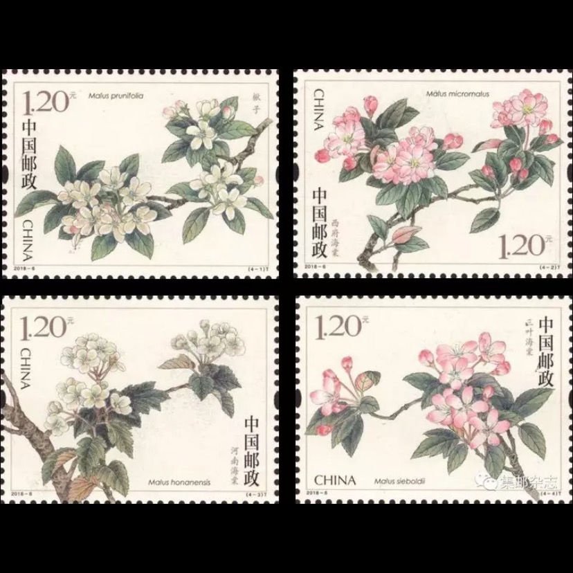 6 Begonia Flowers A Set Of 4 Stampsfour Sets Of Senders W 6 海棠花一套4枚邮票拍四套发方连 8月18日发完幸福的小店 Shopee Malaysia