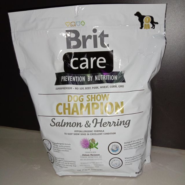 brit care show champion