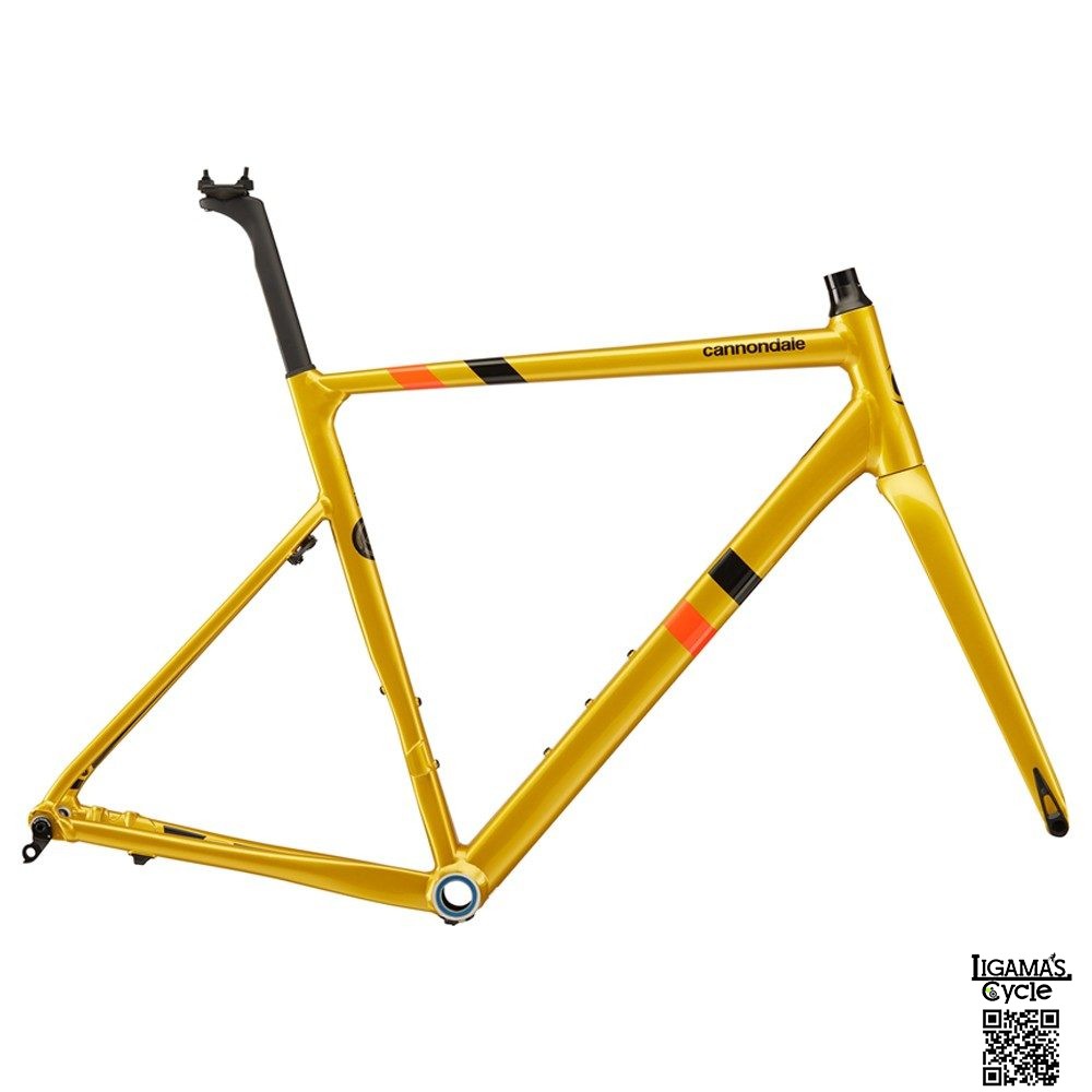 cannondale frame only