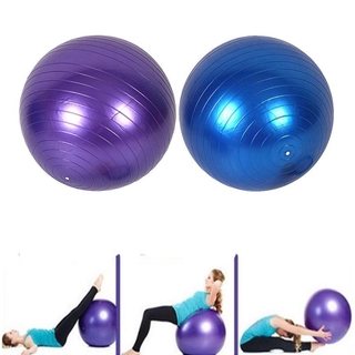 Yoga Ball Gym Fitness Iron Shake Weight Bola Getah Besar Senaman Sakit 