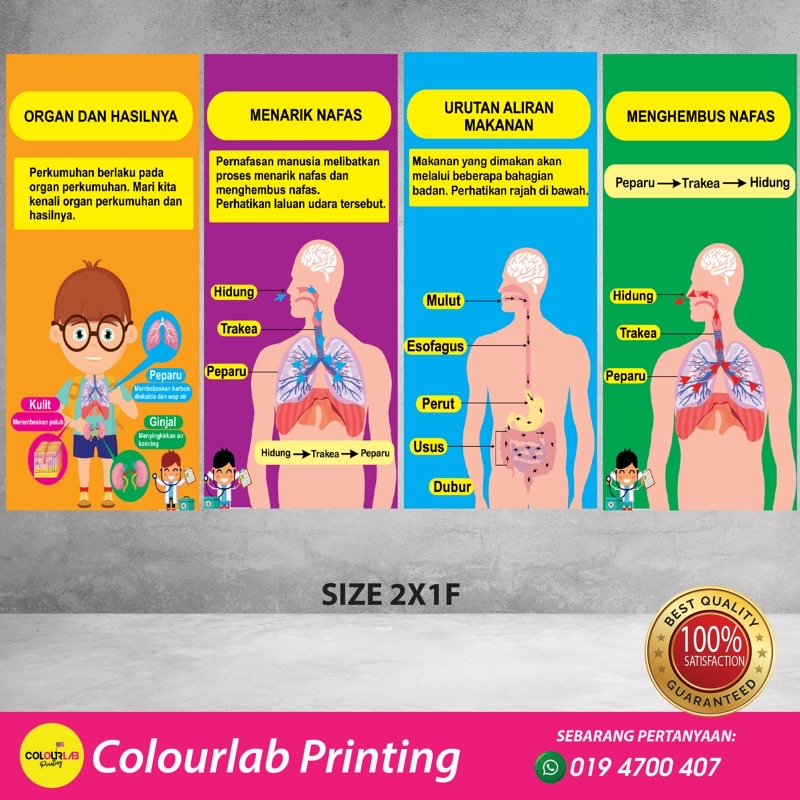 Banner Sains Sekolah Rendah (Set Anatomi) | Shopee Malaysia