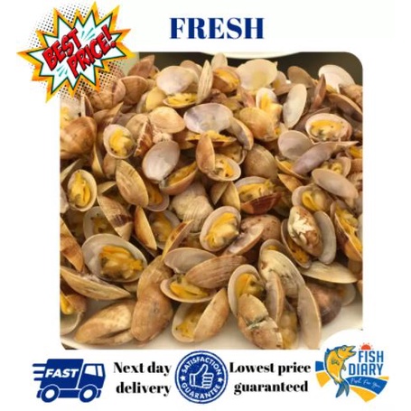 【Penang area only】🔥 Lala / Sea Water Clams 蛤蜊(500g) (FREE DELIVERY for purchase RM120+)