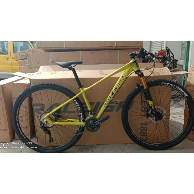 raleigh talon mountain bike