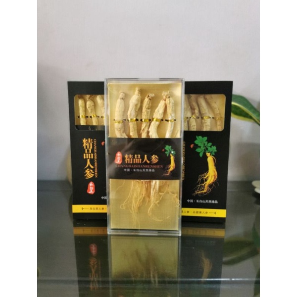 中国東北】高麗人参 山参 長白山 天然人参 天然物 極品神草 長白人参