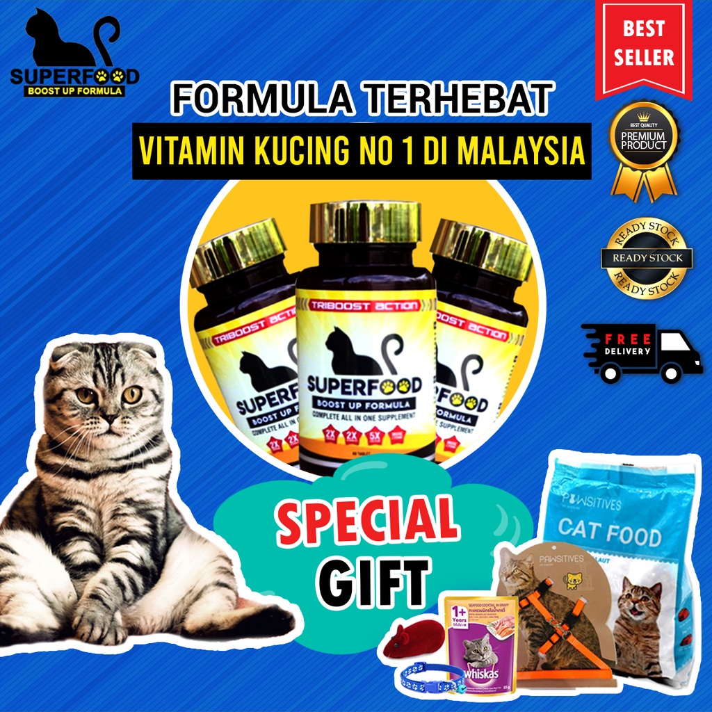 Jual Penggemuk Kucing Gemuk Badan Kucing Vitamin Kucing Napsu Makan Disko Jakarta Barat Diva Store 1681 Tokopedia