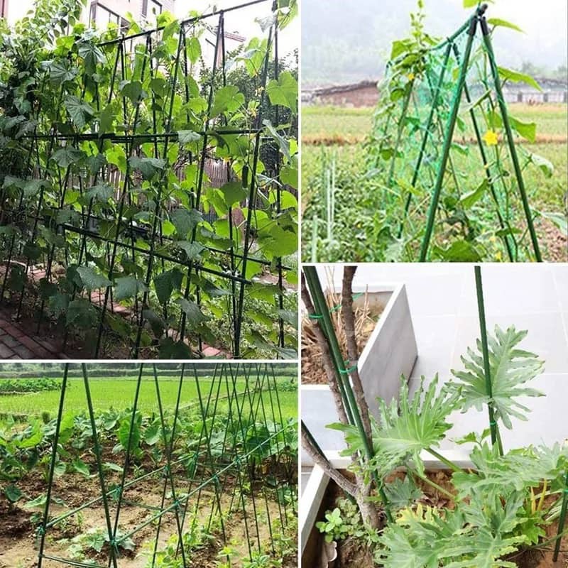 Garden Plant Support Stick / Climbing Stand Flower Stick Cane Gardening ...